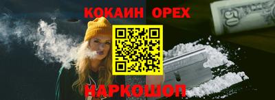 амф Новозыбков