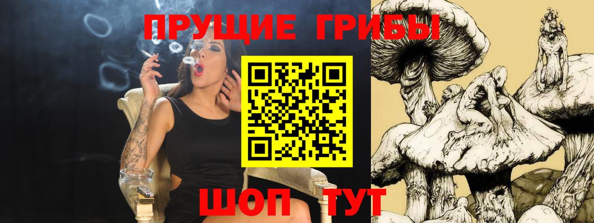 Семилуки  Галлюциногенные грибы Magic Shrooms  Псилоцибиновые грибы Magic Shrooms  Вход с VPN 